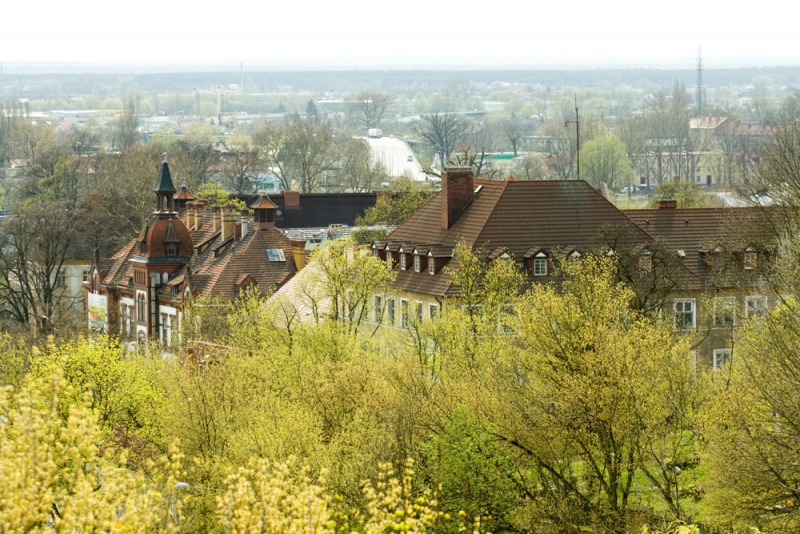 Muzykanci na Warszawską razem z „Elektrykiem” i „Mechanikiem”?