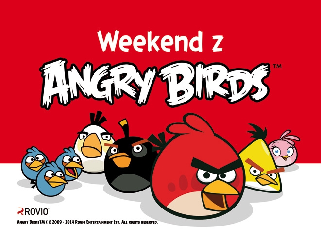 Angry Birds w Galerii Askana