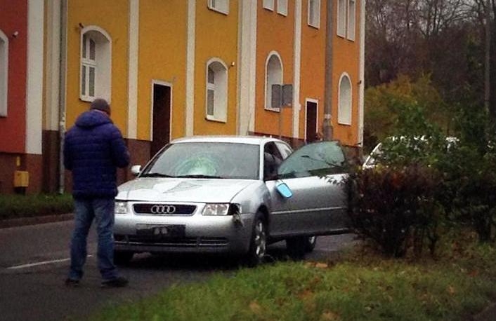 Babcia z wnuczkiem potrąceni na...