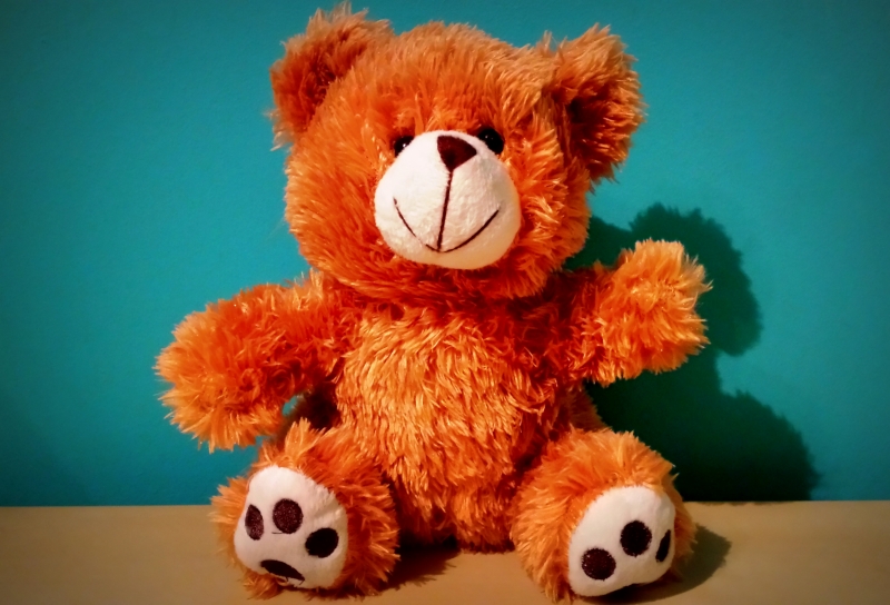 Dzień Pluszowego Misia