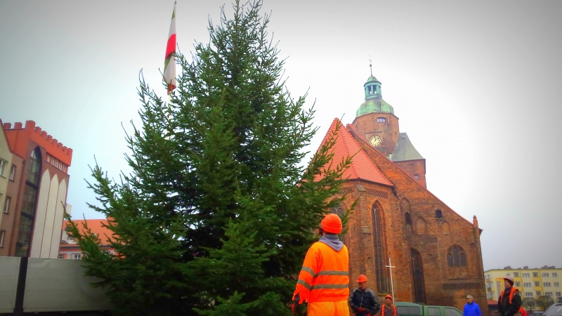 Świąteczne drzewko już jest! (wideo)