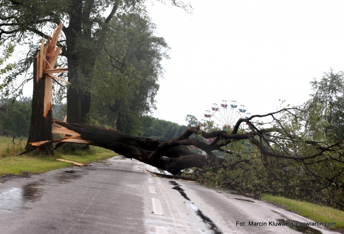 W Lubuskiem mocno zawieje