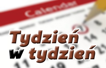 Nie bądźmy świętymi krowami