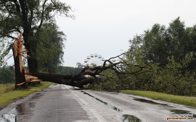 Silne wichury w Lubuskiem. Będzie wiało nawet 100 km/h