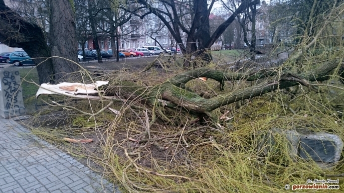 WCZK ostrzega: Będzie mocno wiało. Nawet do 90 km/h