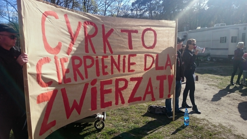 Protestowali pod cyrkiem