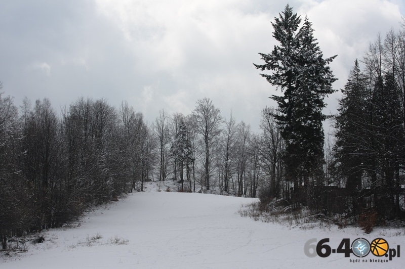 Narciarskie mistrzostwa Gorzowa