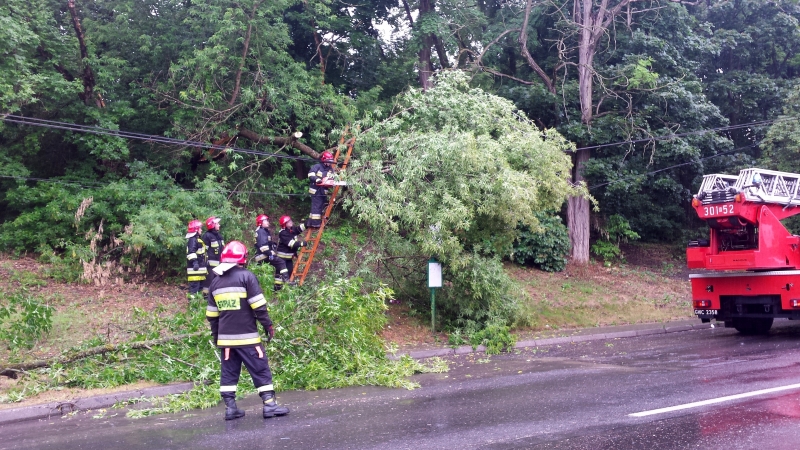 Akcja straży na Żwirowej [wideo, zdjęcia]