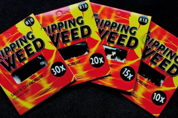 Dopalacze groźne także w Lubuskiem