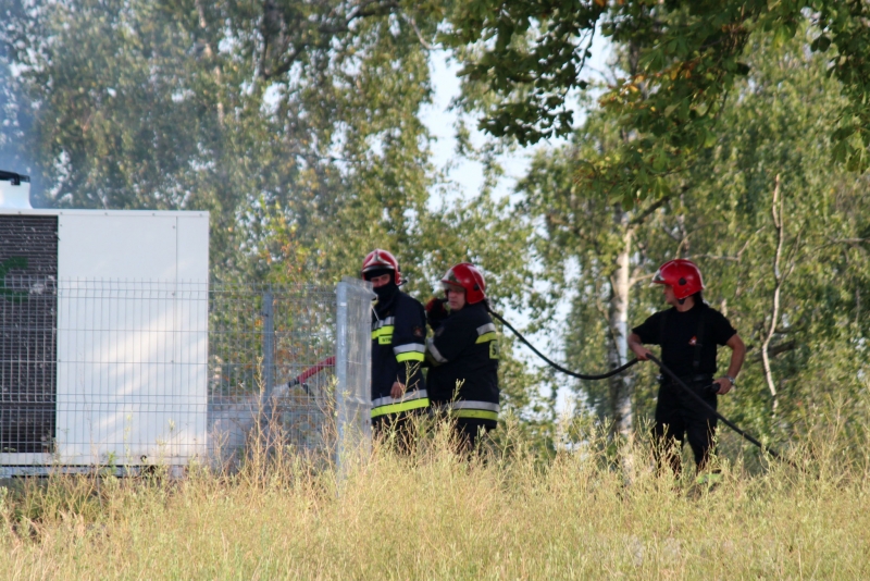 Pożar trawy za sądem na Chopina