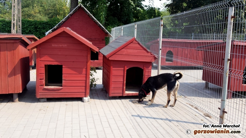 Schronisko to nie hotel