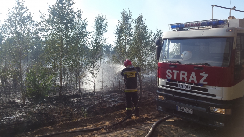 Ktoś podpala lasy koło Glinika