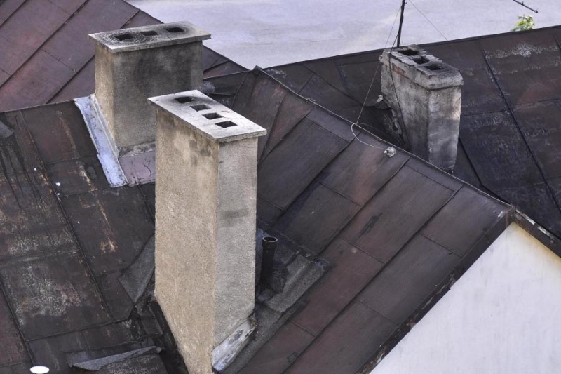 Trujemy samych siebie, czyli jak zabija nas smog