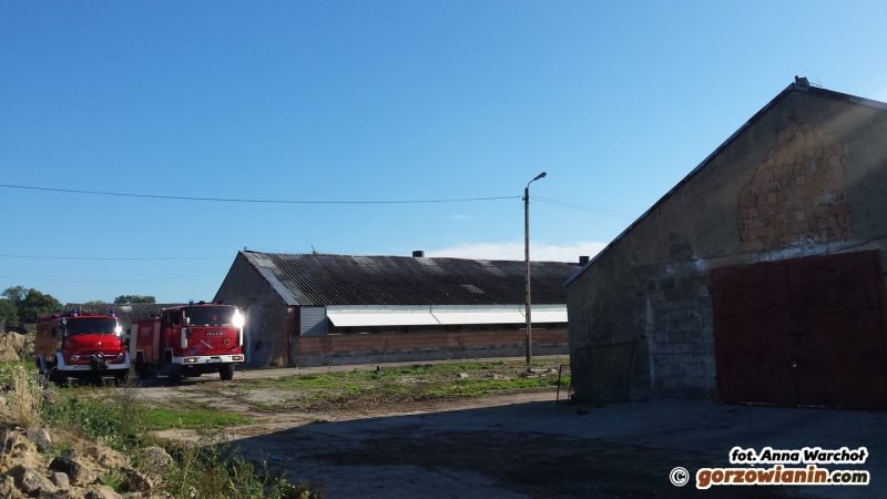 Groźny pożar w Racławiu. Palił się budynek z indykami