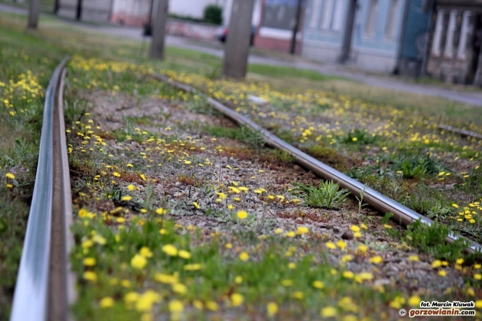 Tramwajowy skok o dwie epoki do przodu