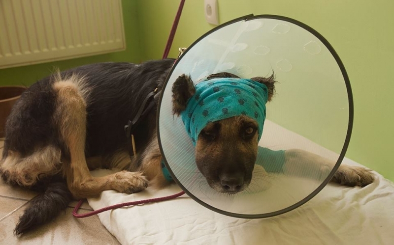 Skatował Mejdej. Odpowie przed sądem