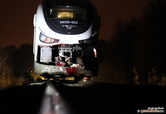 Szynobus zabił konie. Właściciel zwierząt odpowie przed sądem