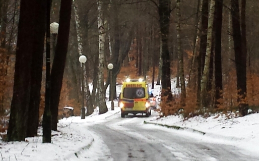 Zabójstwo pod Gorzowem. Siostra zabiła siostrę [aktualizacja]