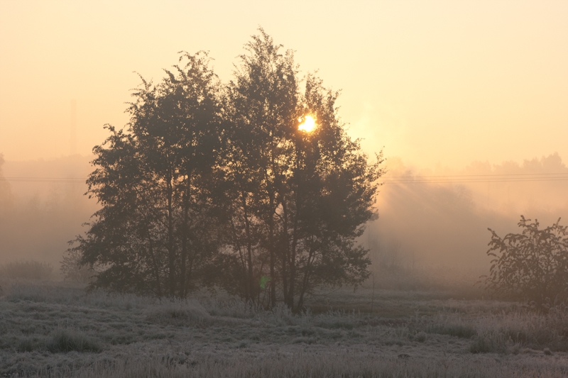 Chwilowy powrót zimy
