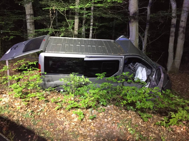 Uderzył busem w drzewo. Dwie osoby ranne