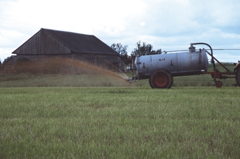 Wielki smród w całym Gorzowie