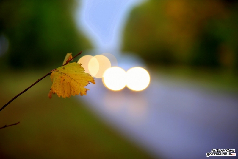 Wraca złota polska jesień!