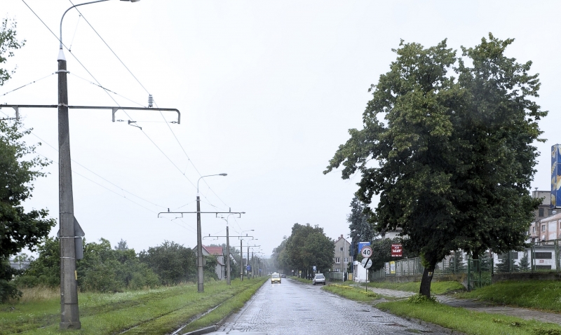 Miasto: Drzewa chcieliśmy zachować