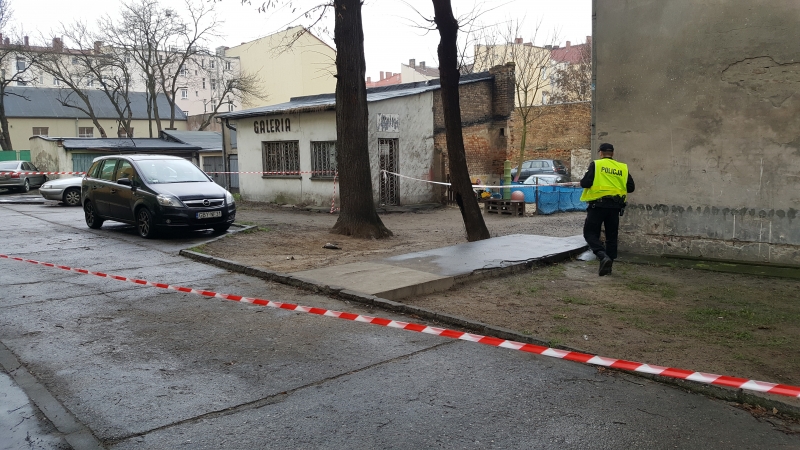 Martwy gołąb wywołał panikę [zdjęcia]