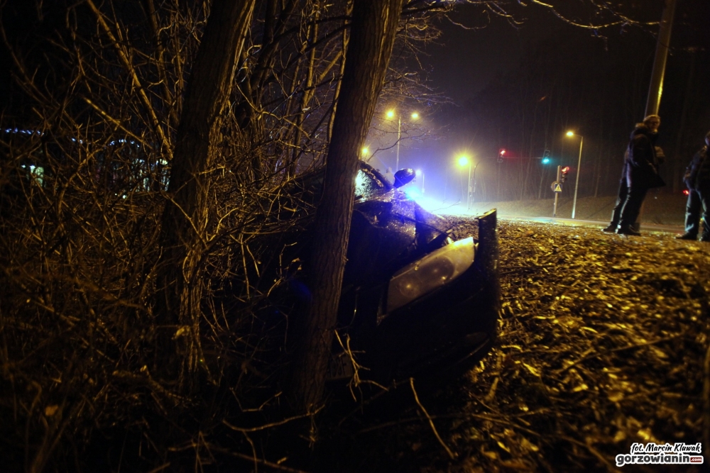 BMW zatrzymało się na drzewie [film i zdjęcia]