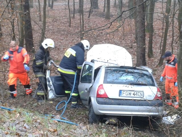 Clio wbiło się w drzewo [zdjęcia]