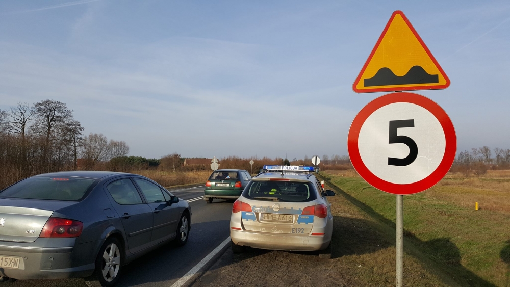 Z przymrużeniem okiem: Pilnują zdechłych kur i nie dają ludziom spać