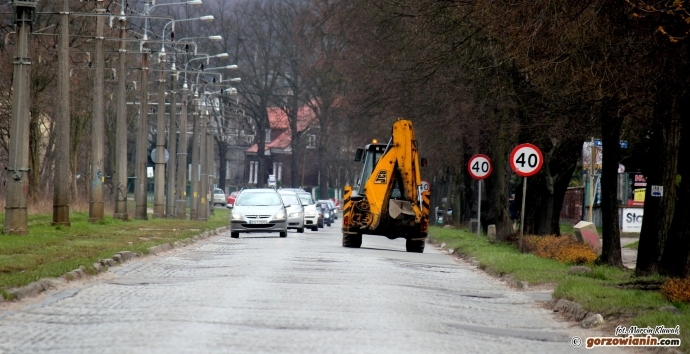 Z ulic Gorzowa zniknie blisko tysiąc drzew