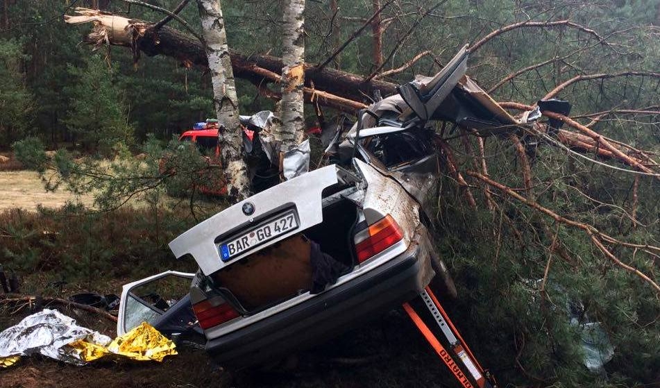 BMW roztrzaskało się o drzewo [zdjęcia]