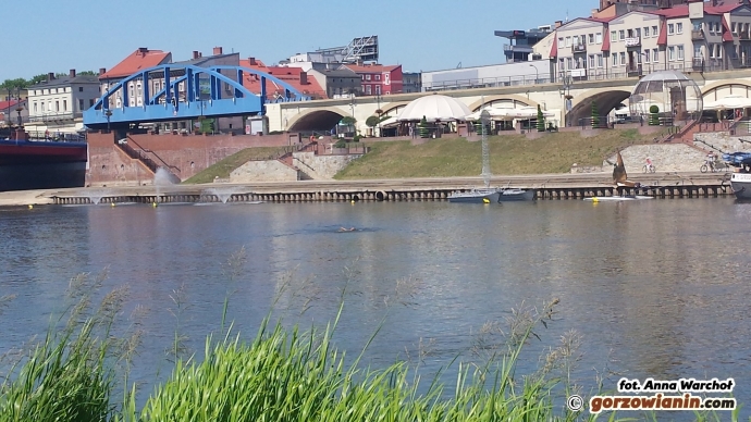 3/11 Mężczyzna pływał w Warcie