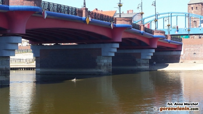 4/11 Mężczyzna pływał w Warcie