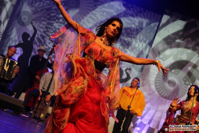 13/29 Romane Dyvesa 2015