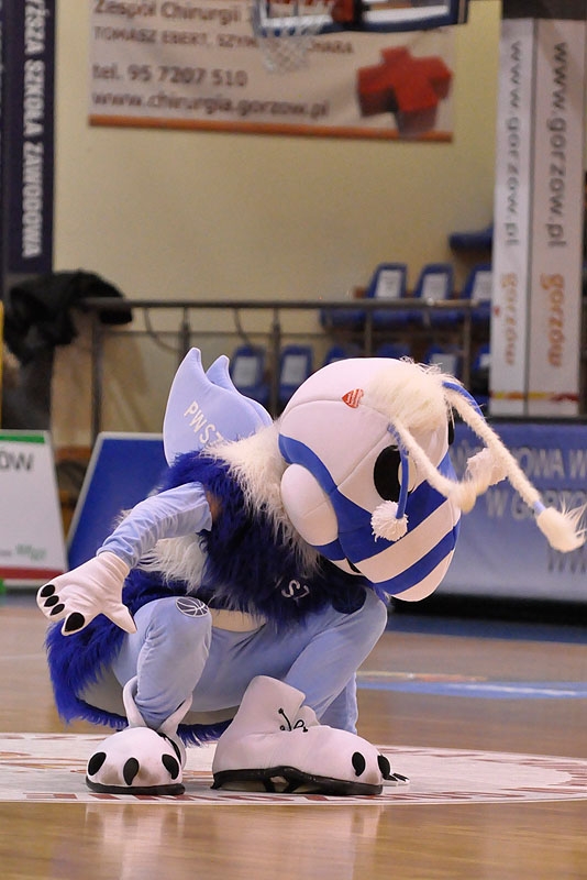 35/48 KSSSE AZS PWSZ Gorzów - Ros Casares Walencja 52:86