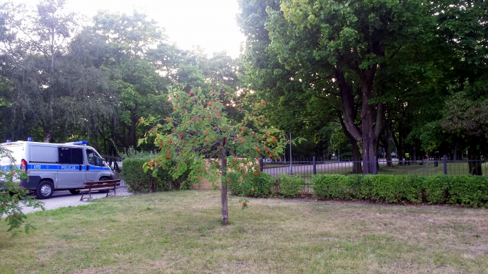 5/5 Wandale zniszczyli nagrobki na cmentarzu wojennym