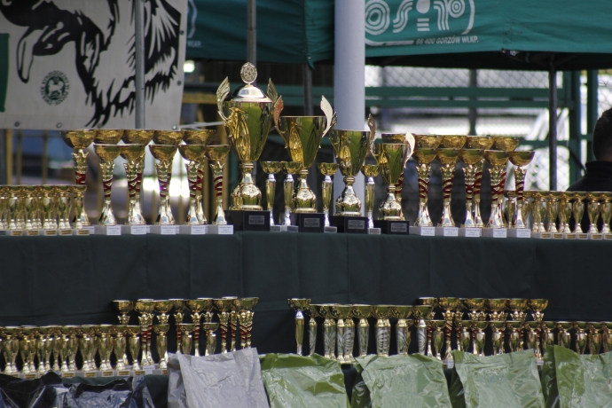 10/11 IV Jesienną Wystawa Psów Rasowych