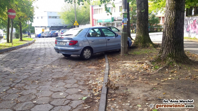 7/7 Dziurawe drogi i chodniki na Słonecznym