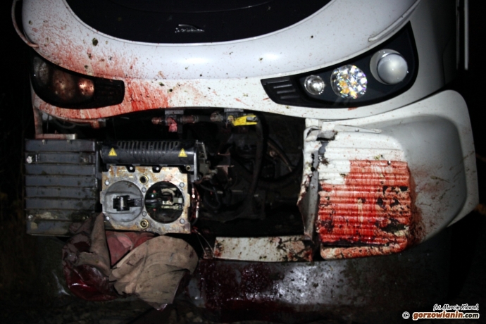 3/6 Tragedia na torach. Szynobus zabił pięć koni