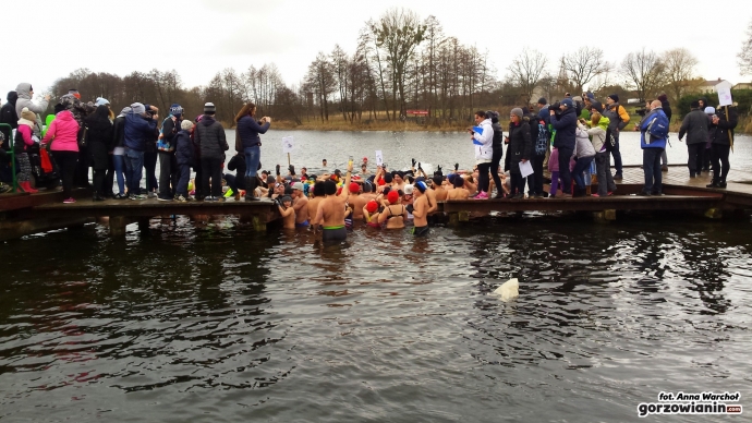 8/19 Gorzowskie morsy biły rekord Guinnessa 