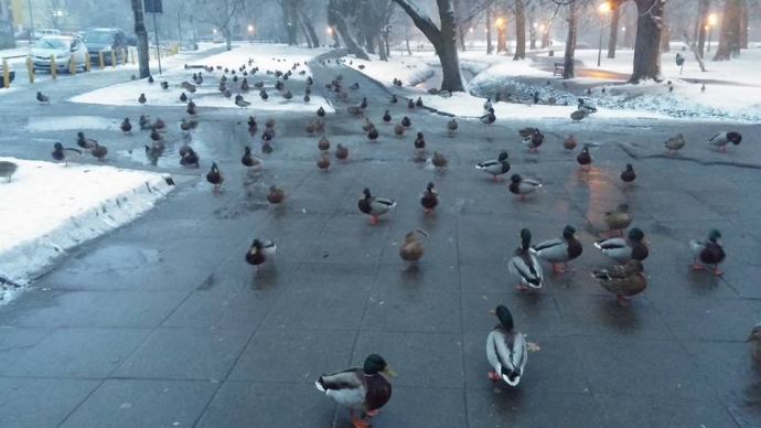 8/18 Zima w Gorzowie i okolicach