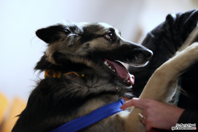 12/14 Oprawca Mejdej przed sądem