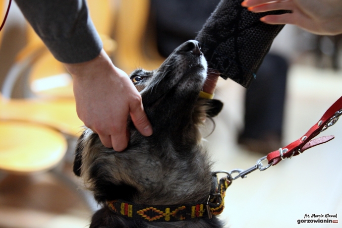 14/14 Oprawca Mejdej przed sądem