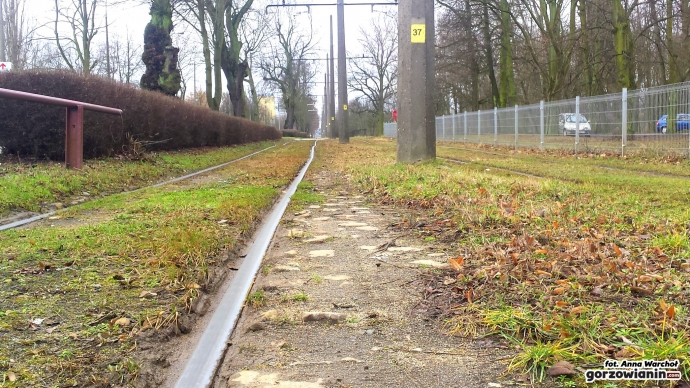 6/9 Torowisko na Walczaka czeka przebudowa