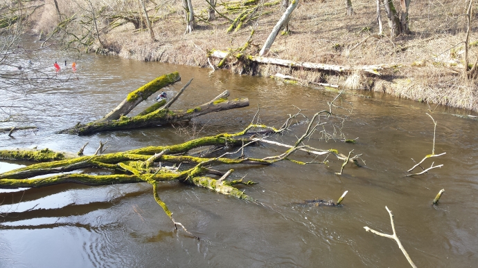 3/6 Spływ płetwonurków 