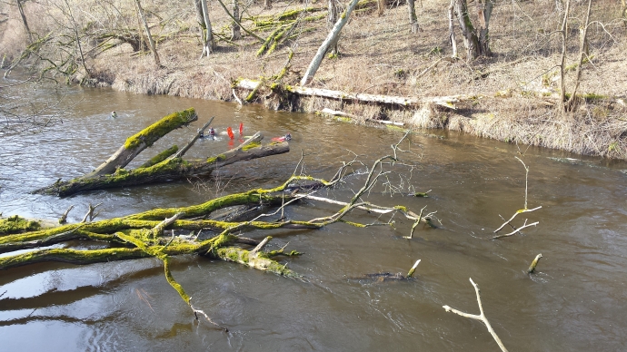 4/6 Spływ płetwonurków 