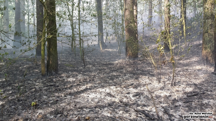 4/7 Pożar przy ul. Dobrej