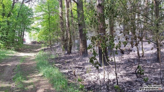 6/7 Pożar przy ul. Dobrej